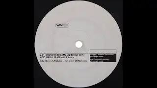 [WMFRec EP006] Various &ndash; Nighteffect (Part 2) (2001) Gebr&uuml;der Teichmann - Acid Maria - David Carrett