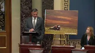Senator Heinrich Delivers Remarks on Protecting the Arctic Refuge