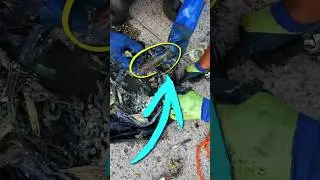 Don't watch this alone . Horrid discovery  #magnetfishing #treasurehunt #evidence