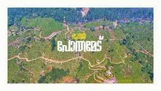 പോതമേട് Pothamedu Munnar Kerala #munnar #munnardiaries #hillstation #munnartrip