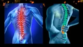 Chiropractor Aurora Co | The Preferred Chiropractor Aurora Co Office