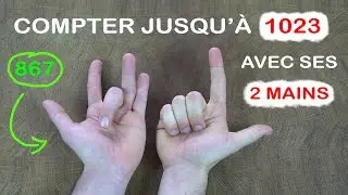 Compter jusqu'à 1023... avec ses 2 mains !