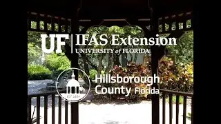 Our 2021 Virtual Open House