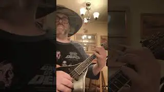 Moments on the Mandolin #mandolin #music #riffoftheday