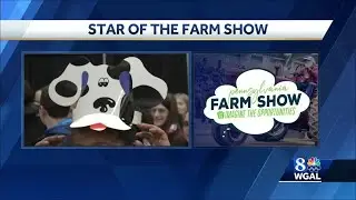 Star of the Farm Show: Animal hats