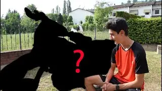 LA MIA NUOVA MOTO!!!