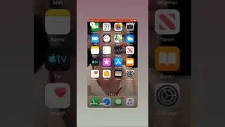 Apple phone status