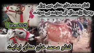Tando Muhammad Khan Mein Howe Sodey he Soday | Today Mandi Update 1 June 2025