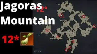Lost Ark | Jagoras Mountain - Mococo Seeds Location