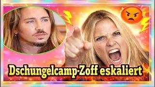 No-Go!“ Dschungelcamp-Zoff eskaliert: Nicole Belstler-Boettcher attackiert Gil Ofarim VOR dem Einzug