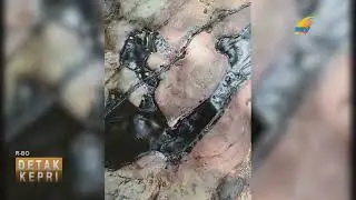 LIMBAH DIDUGA B3 CEMARI PERAIRAN SEKUPANG, DPRD KEPRI DESAK PENANGANAN