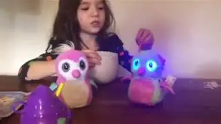 Hatchimal Glittering Garden Burtle ! Full hatching video!