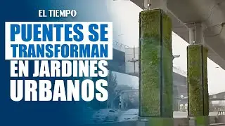 “Columnas Verdes”: el proyecto del Distrito que transforma los puentes de Bogotá en jardines urbanos