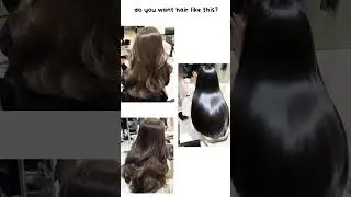 @fairy