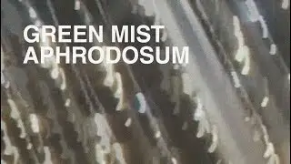 aphrodosum - Green Mist (official video)
