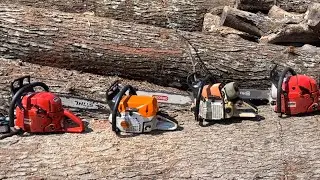 Stihl 046 против MS462 против пары бензопил 65 куб. см и 81 куб. см