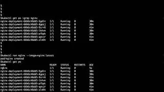 Kubectl Basic Commands