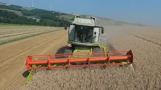 Getreideernte 2025 mit Claas Lexion 750 | FPV 4K