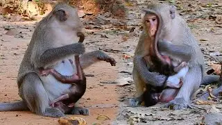 ​Really Good Mother She So Caring and Loving Her Baby So Much  She Alway Be With Her Little One