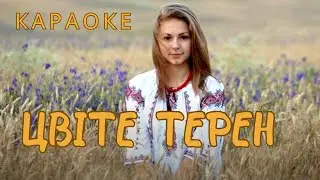 Цвіте терен - КАРАОКЕ  (текст пісні та мп3 в описі під відео)