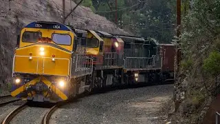 1877 - C504, BRM002, C510