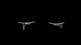SHAMI, Rauf & Faik - Запомни I love you (slowed + reverb)