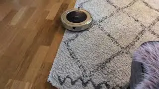 Cleanmate S900 pr&ouml;var dammsuga en tjockare matta.