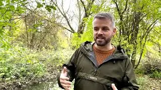 Beavers provide a potential solution to urban flooding in West London