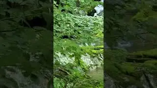Your Moment of Zen