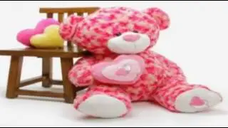 [Happy Teddy Day 2017]10th February 2017, Teddy Day Movie Real, Images, Songs, Messages, Quotes