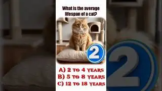 Can you guess What is the average lifespan of a cat?