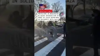 #Protestor Pro Palestine in Washington DC #USA