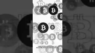 Privacy Coins Enhancing Anonymity in Transactions