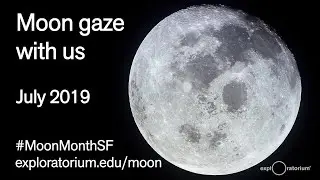 Moon Month, July 2019
