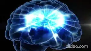galaxy brain meme template no copyright |  FREE DOWNLOAD |
