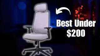 This Is the NEW Best Office Chair Under $200 | ProtoArc EC200 Review