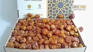 Sukari Al-Qassim Premium Dus 3Kg - Castle Farms