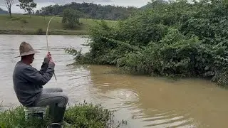 Quando os amarelão saem do rio é para atacar tudo que veem, pescaria de bigodões!!!