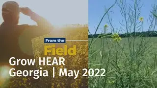 From the Field with Christian Overton: Growing High Erucic Acid Rapeseed