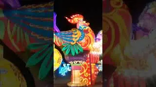 Panda Love For Chinese New Year Video - YouTube Shorts Entertainment
