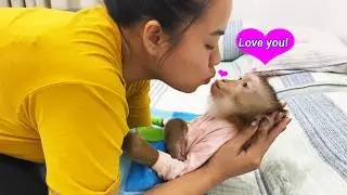 Lyly the monkey, who was being affectionate, was woken up by her mother with a warm kiss.