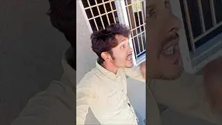 Hum bure hain bure #tiktok #song #funny #love #shorts #short #youtube #cartoon