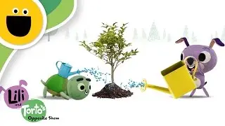 Big and Small | Lili & Torto's Opposite Show (Sesame Studios)