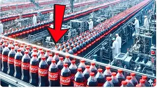 Inside the CocaCola Factory   How Pet Skins Are Turned into Million Dollar Luxury Goods