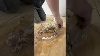 Dielenboden schleifen / Dielenboden kitten / Alte Holzdielen bearbeiten / Holzboden sanding K - 16
