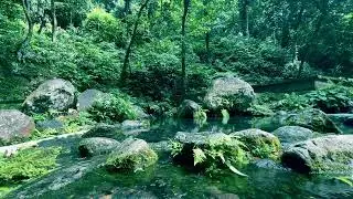 Calm and clear natural river, hear & feel the mind, the soul becomes calm, sleep soundly