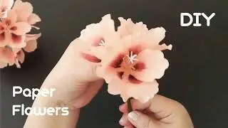 How to Make Pelargonium Grandiflorum Paper Flowers🌺2024-07-06#DIYPaperflowercraft #homedecoration