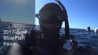 2017 June Blue Fish Point Remix