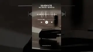 Naadan Dil | NCS Tracks - Season 01 #musicseason #music #song