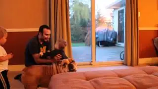 Best Friends vol 2